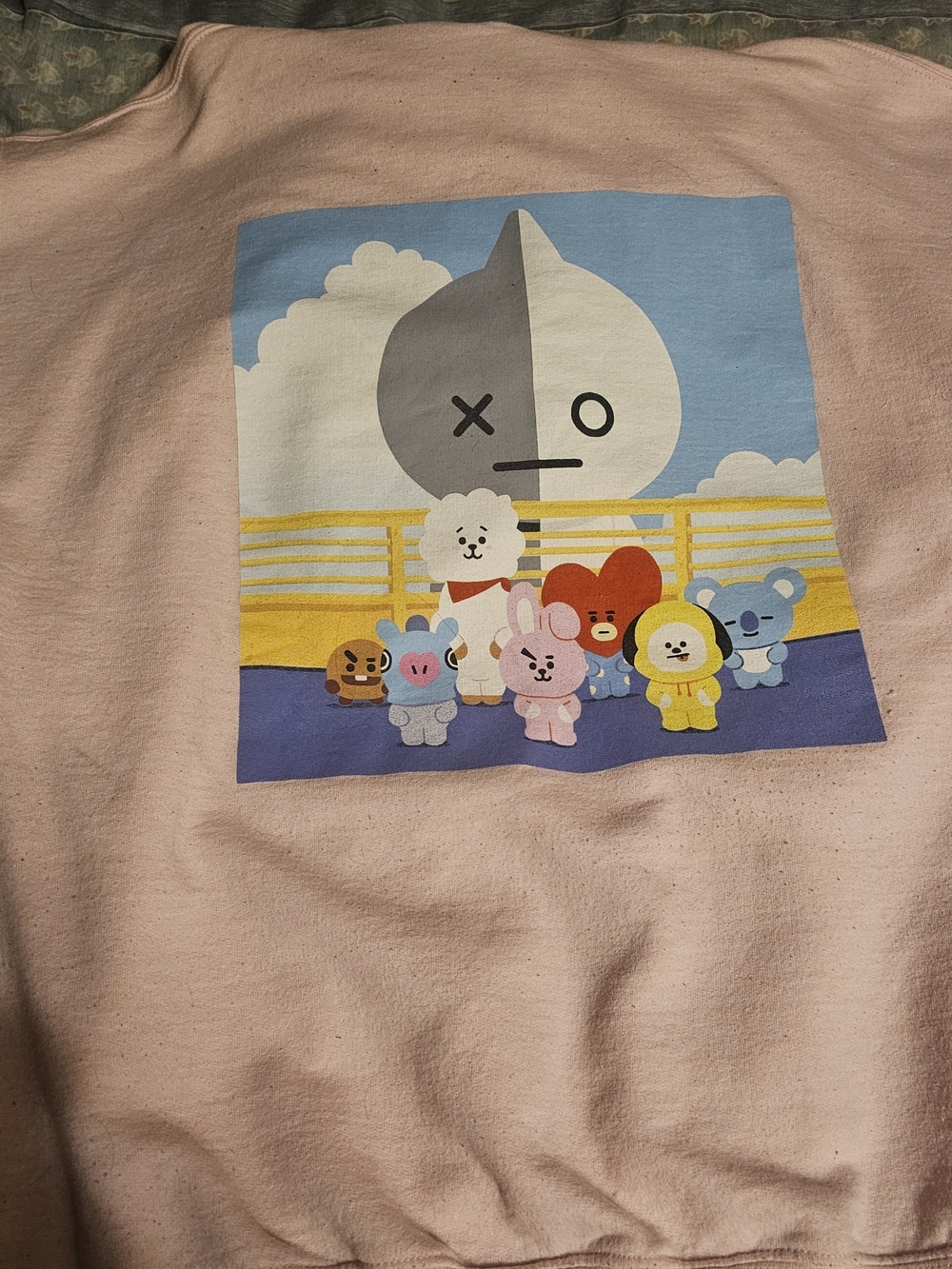 BT21 BTS hoodie